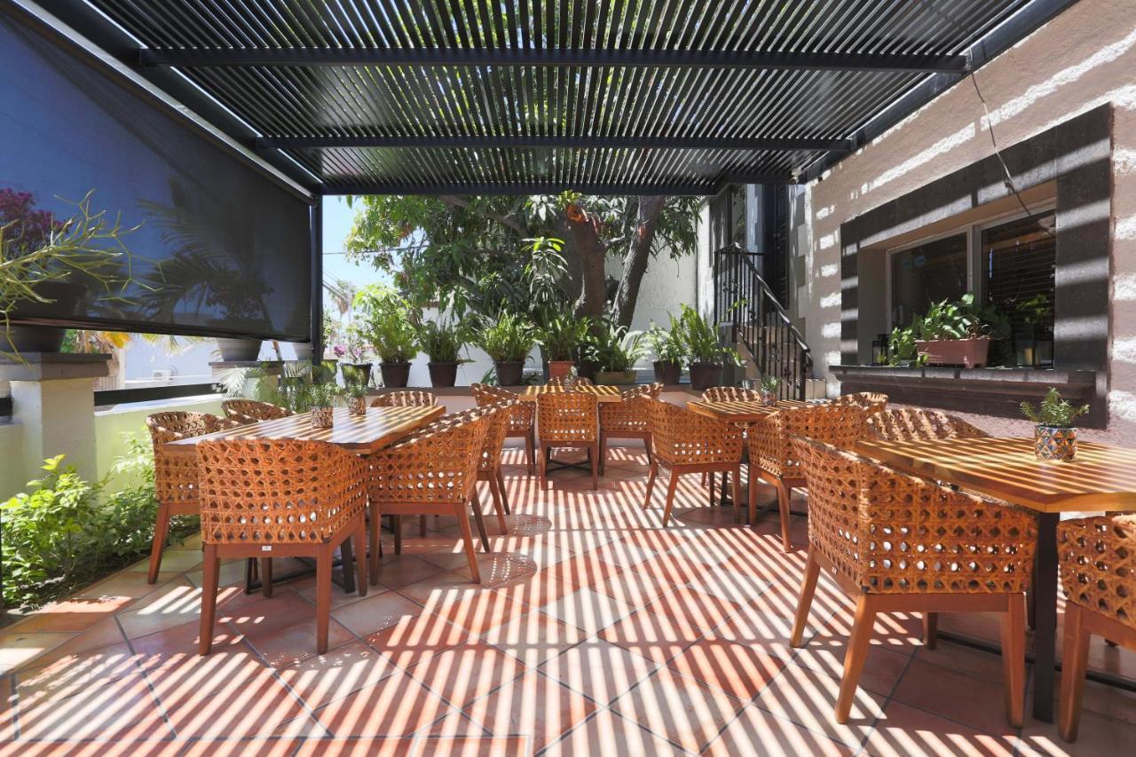 波萨达泰拉诺瓦酒店 San José del Cabo 外观 照片
